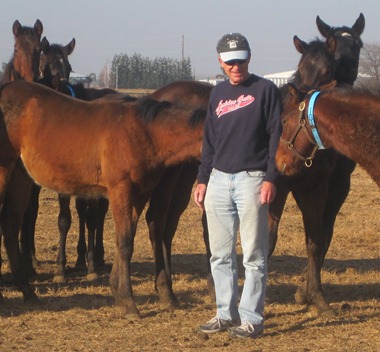 David with horses at Woodbridge farm